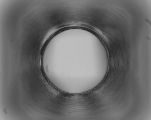 X0000097471368200803141904