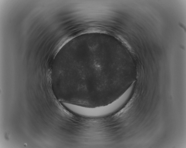 X0000097471369200803141904