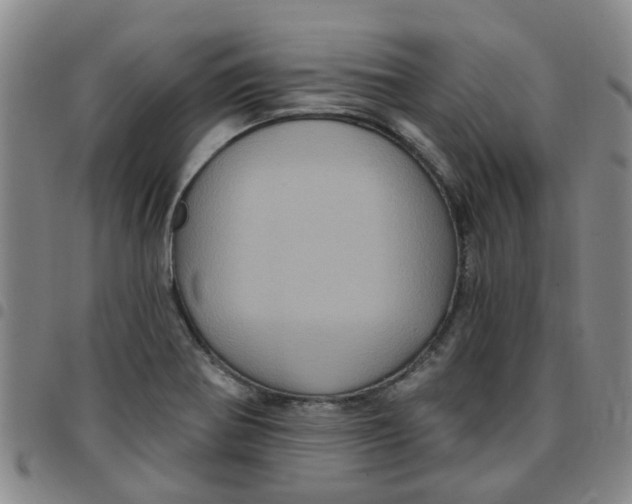 X0000097471370200803141904