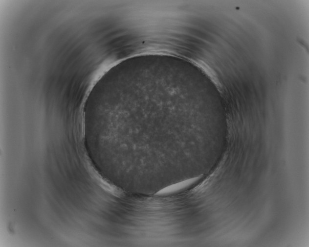 X0000097471371200803141904