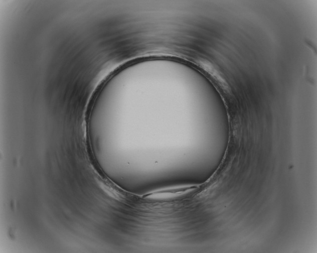 X0000097471372200803141904