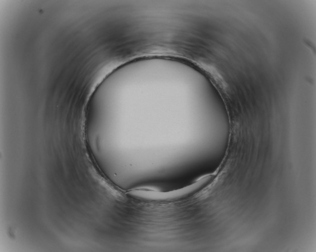 X0000097471374200803141904