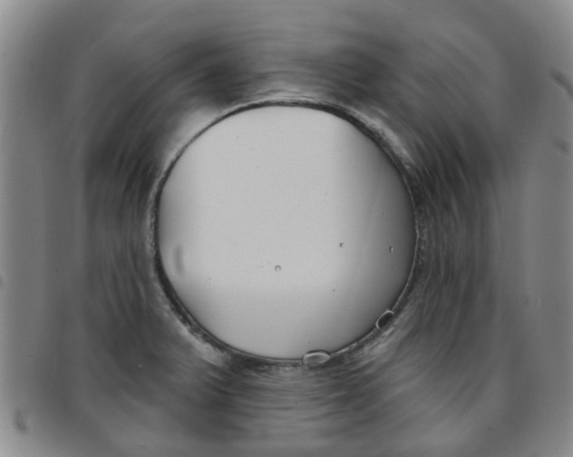 X0000097471375200803141904