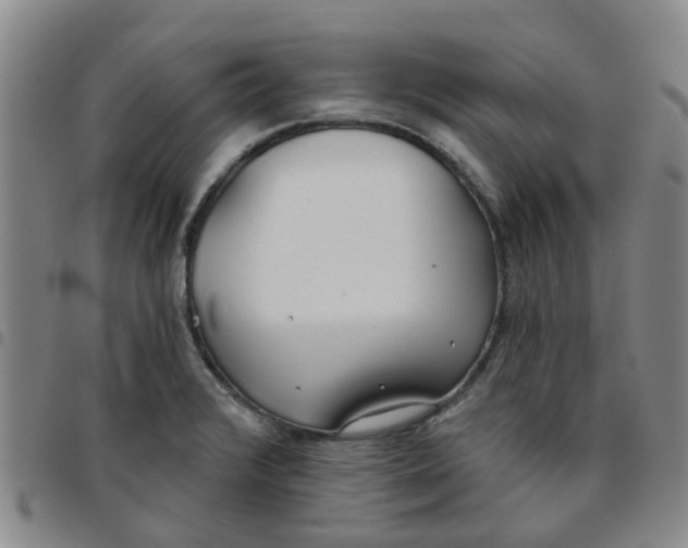 X0000097471376200803141904