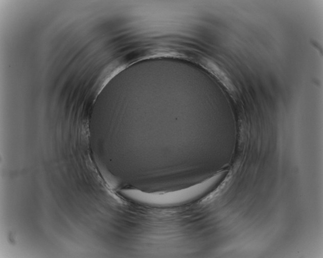 X0000097471377200803141904