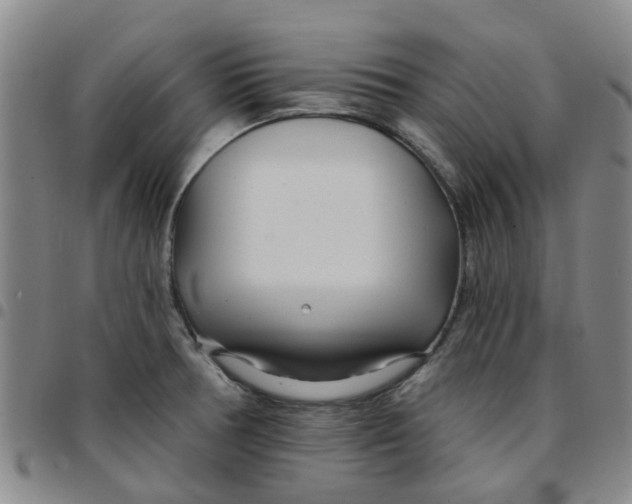 X0000097471378200803141904