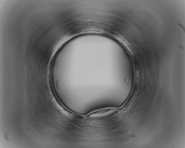 X0000097471379200803141904
