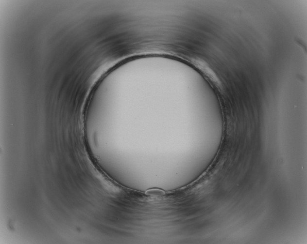X0000097471380200803141904