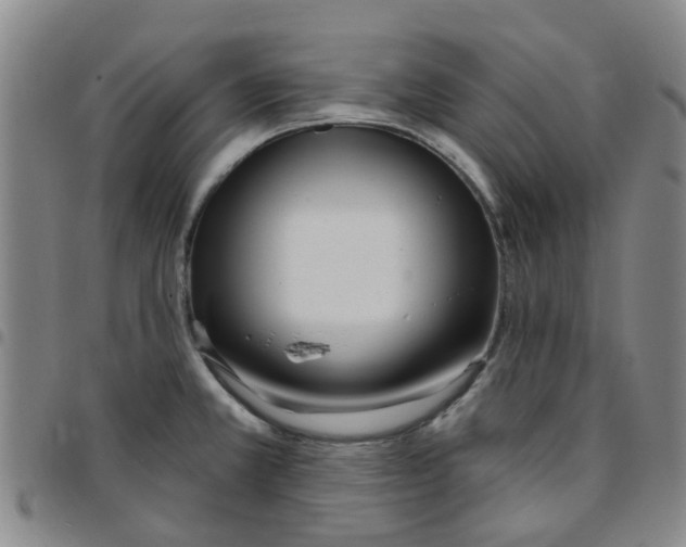 X0000097471381200803141904