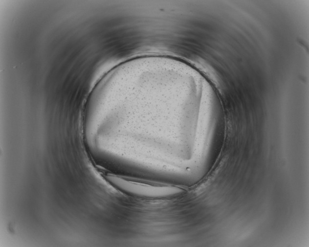 X0000097471382200803141904