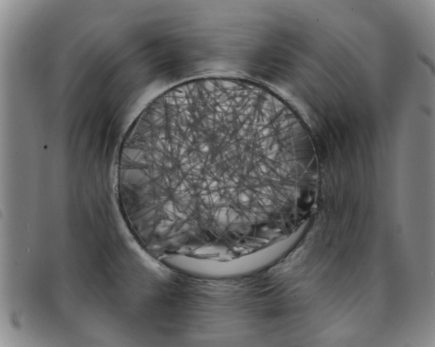 X0000097471383200803141904
