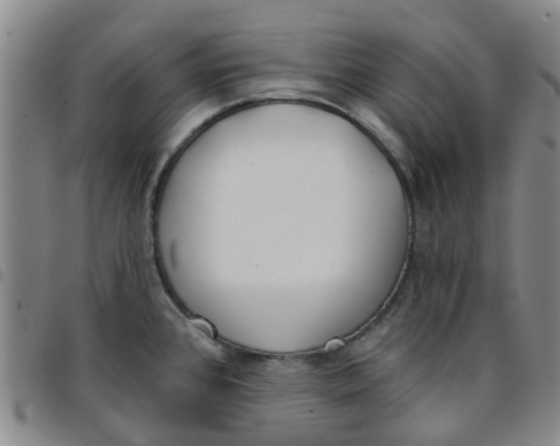 X0000097471384200803141904