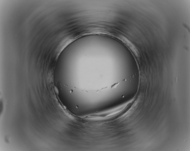 X0000097471385200803141904