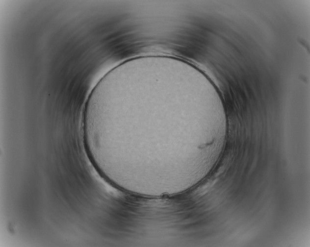 X0000097471387200803141904