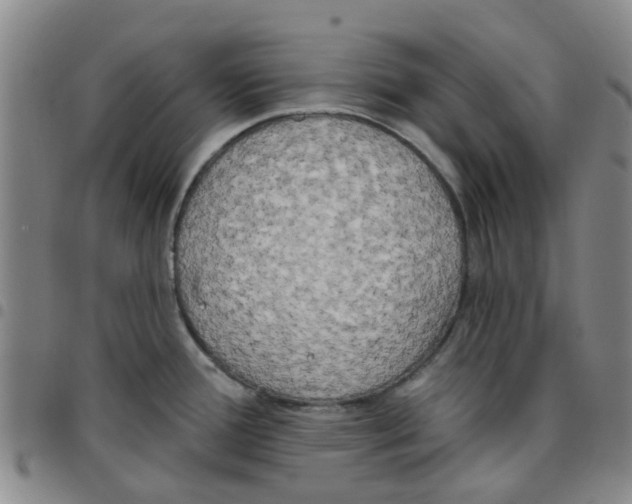 X0000097471388200803141904