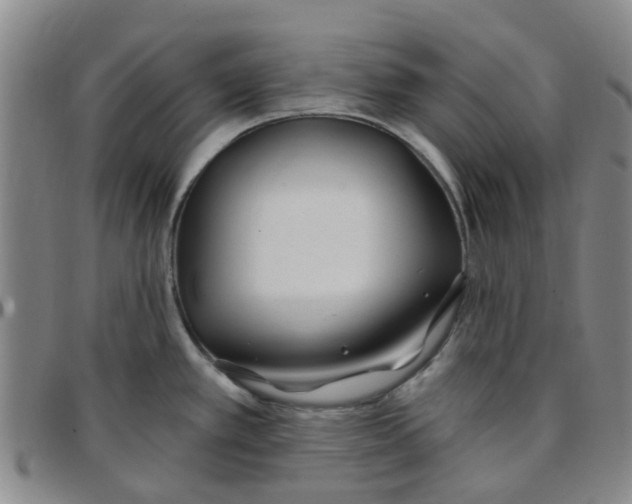 X0000097471389200803141904