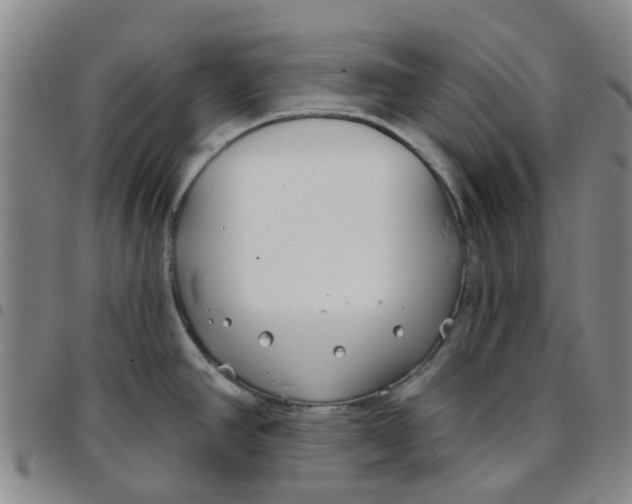 X0000097471390200803141904