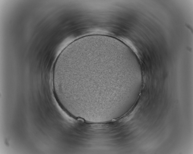 X0000097471391200803141904