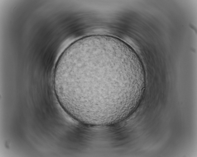 X0000097471392200803141904