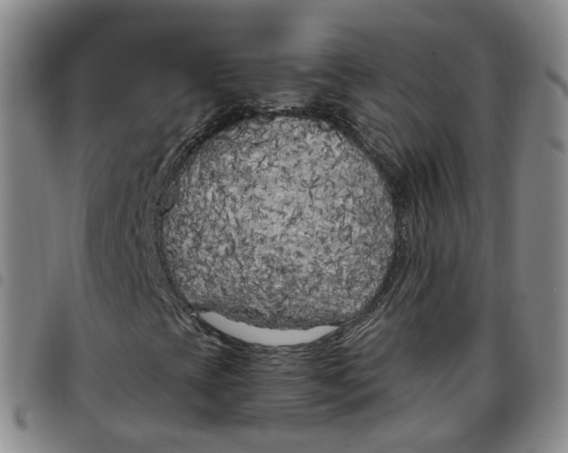 X0000097471393200803141903