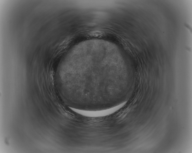 X0000097471394200803141903