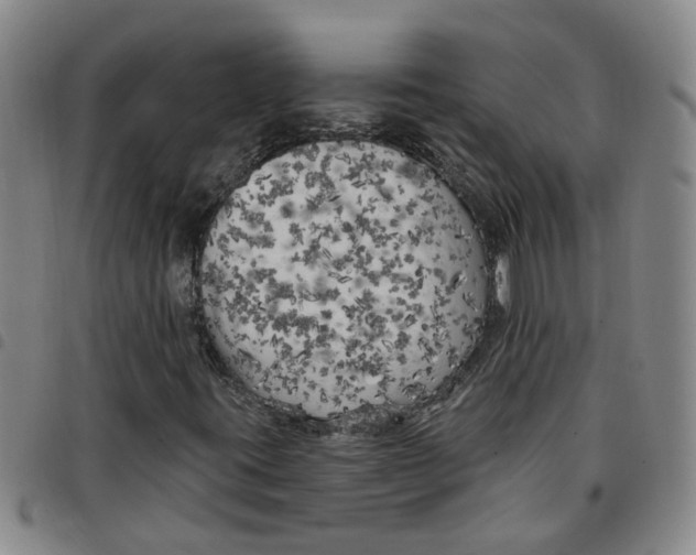 X0000097471395200803141903
