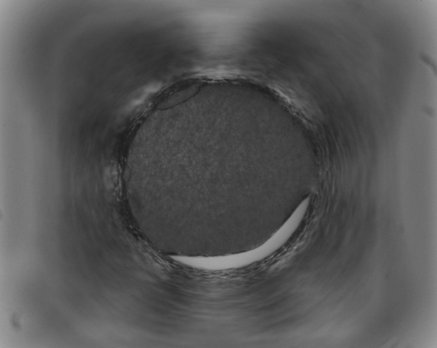 X0000097471398200803141903