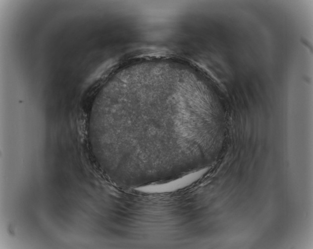 X0000097471399200803141903