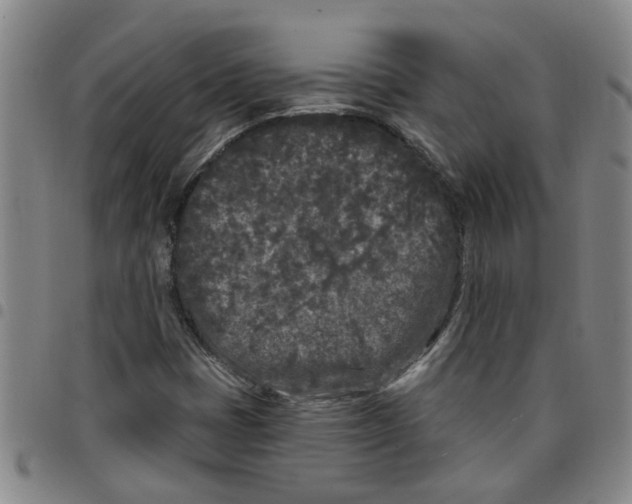 X0000097471401200803141903