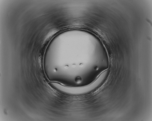 X0000097471402200803141903