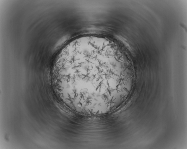 X0000097471403200803141903