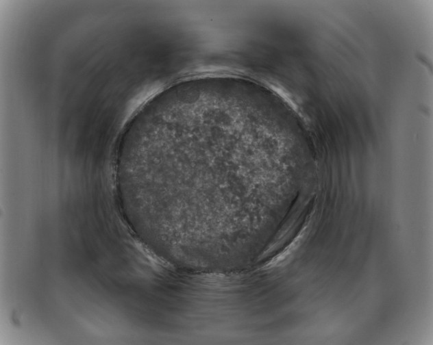 X0000097471405200803141903