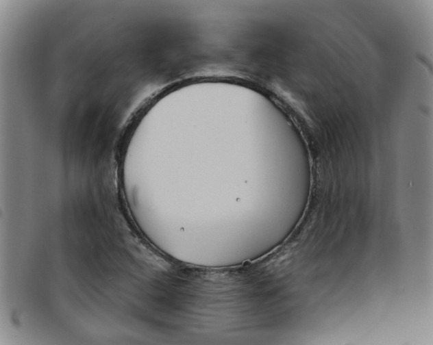 X0000097471408200803141903