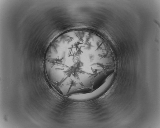 X0000097471409200803141903