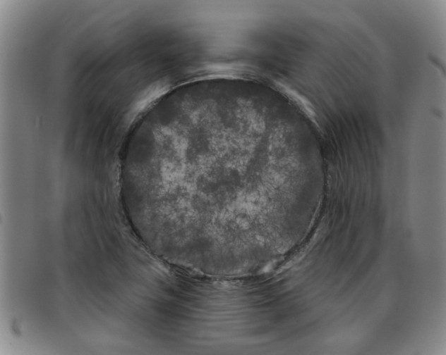 X0000097471411200803141903
