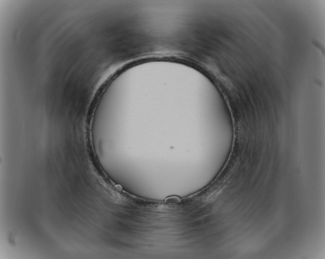 X0000097471412200803141903