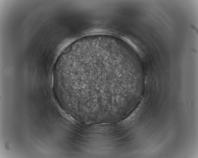X0000097471413200803141903