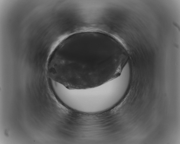 X0000097471414200803141903