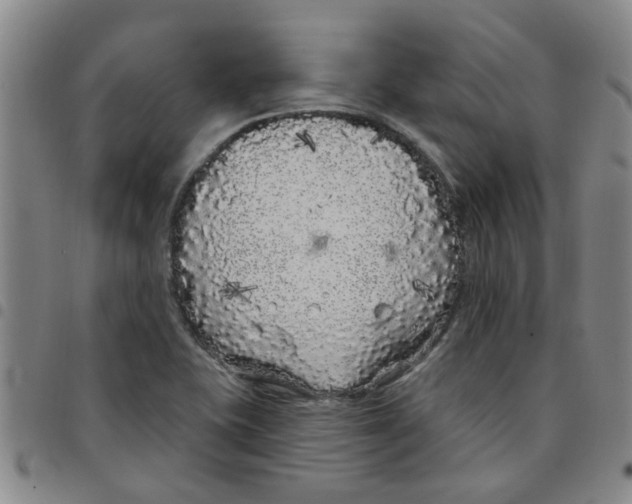 X0000097471415200803141903