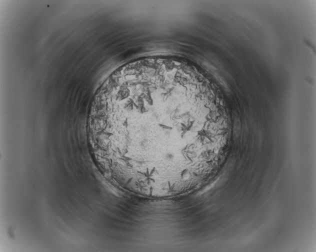 X0000097471417200803141903