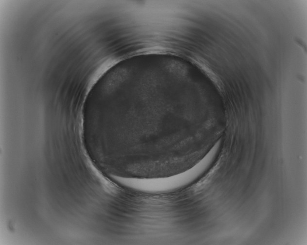 X0000097471418200803141903