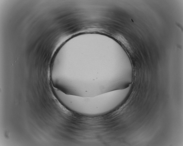 X0000097471420200803141903