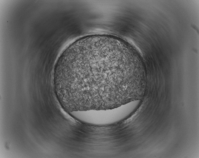 X0000097471421200803141903