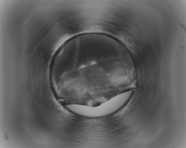 X0000097471422200803141903