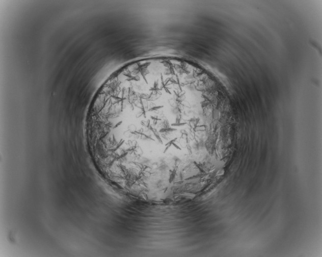 X0000097471423200803141903