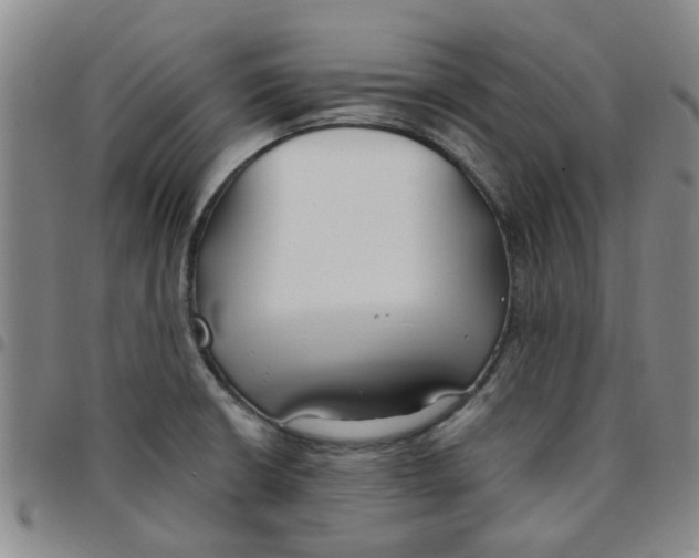 X0000097471426200803141903