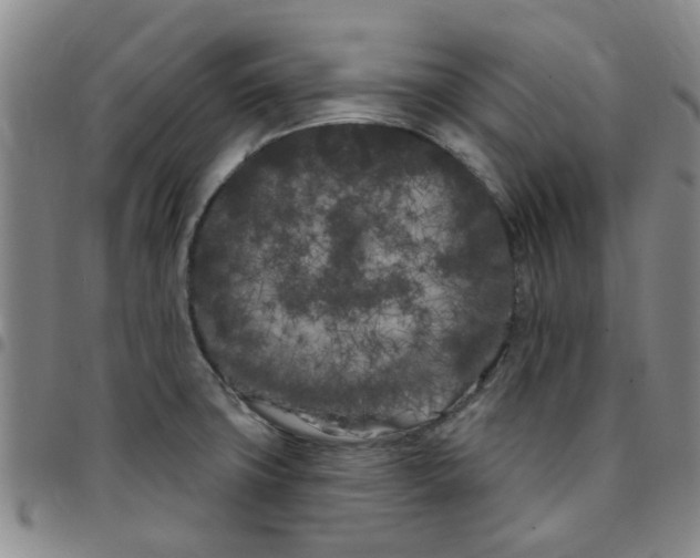 X0000097471427200803141903