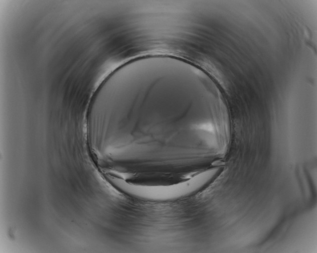 X0000097471428200803141903