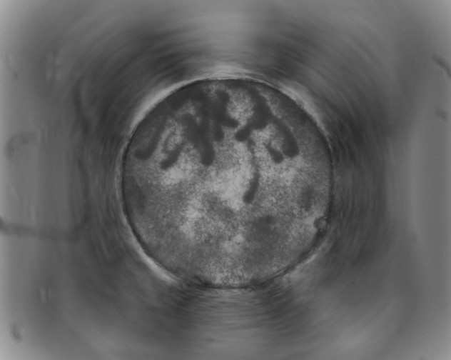 X0000097471429200803141903