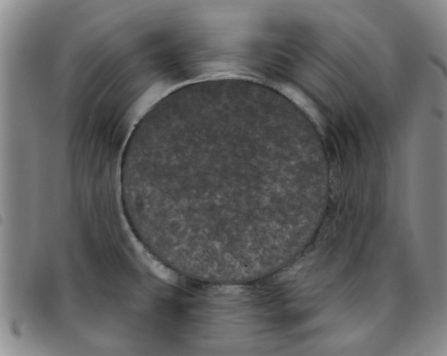 X0000097471431200803141904